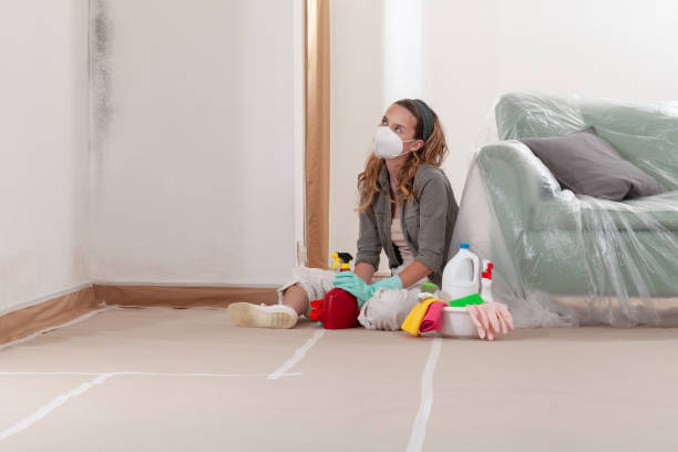 Reliable Commercial Mold Remediation contractor in Camden, NJ by WQB Mold Removal